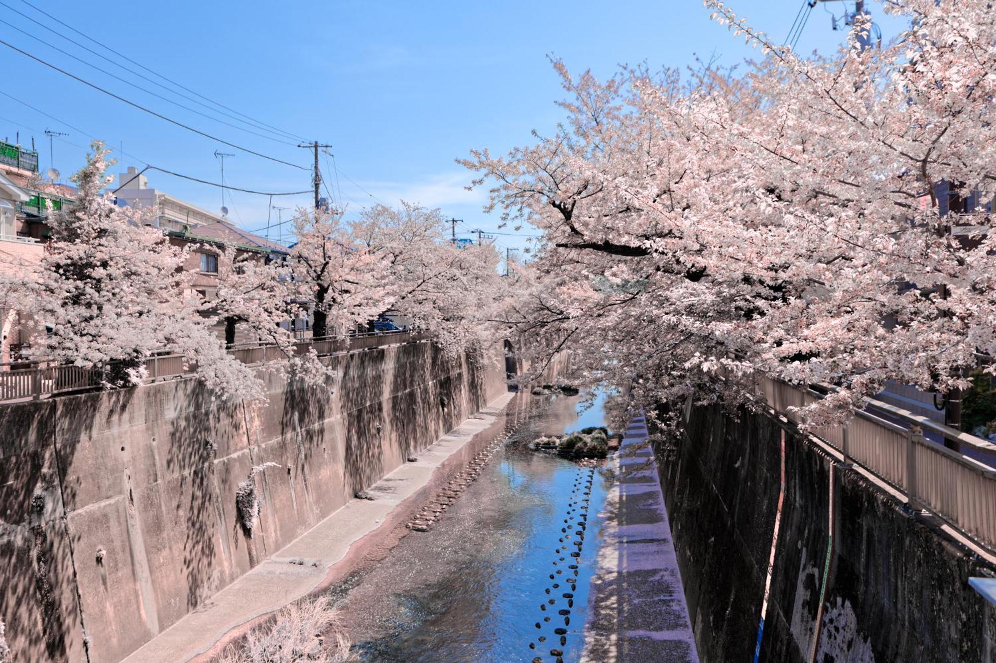 Calm Riverside Inn Close To Ikebukuro Tokyo prefektur Exteriör bild